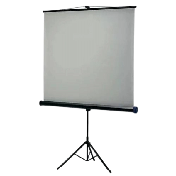 Projector Screen (4 x 6 ft) with Tripod Stand