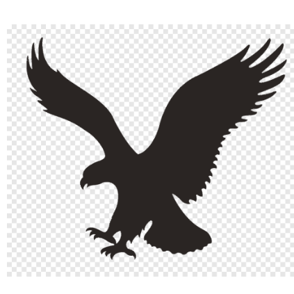 American Eagle